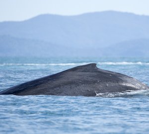 Audi Hamilton Island Race Week 2014: Day 2