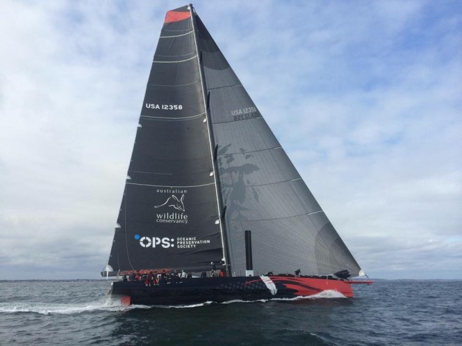 Super yacht Comanche under sea trials - Photo by George Bekris via Scuttlebut Sailing News