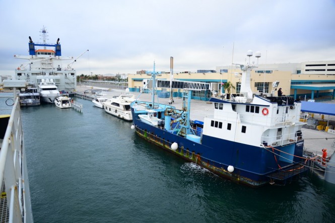 DYT Yacht Transport’s Yacht Express submerges in Port Everglades, Fla. to allow its cargo of yachts, including the 126-foot research vessel M/V OCEARCH (blue hull), to float on. OCEARCH is on its way to Brisbane, Australia. (photo credit Tom Serio Photography).  