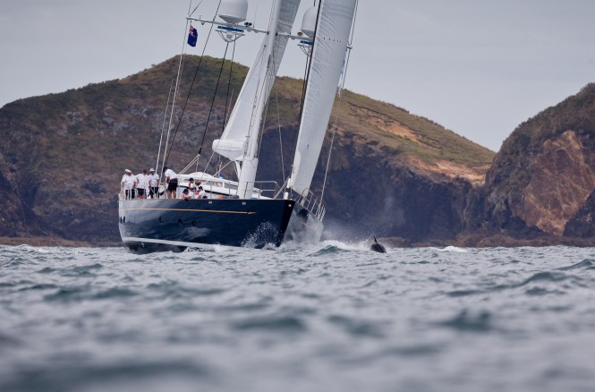 Dolphins race alongside Janice of Wyoming Yacht - Photo by Jeff Brown