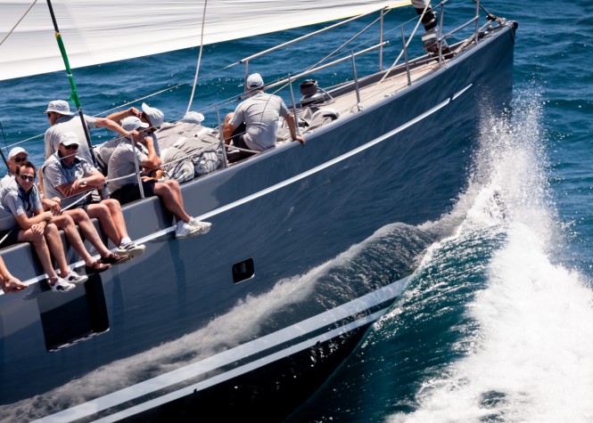 Silvertip – credit Jeff Brown