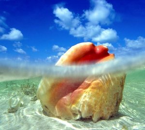 Last Minute Caribbean, Bahamas and British Virgin Islands yacht charter