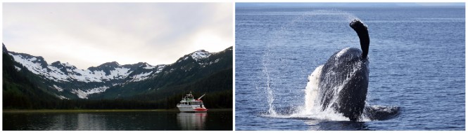 Experience Alaska yacht vacation aboard VIAGGIO yacht