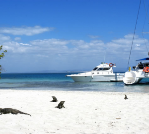 Bright Future for Cuba Yacht Charter