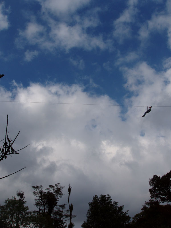 Sail across the canopies on an eco-friendly zip wire - Photo courtesy of Motor Yacht STARFIRE