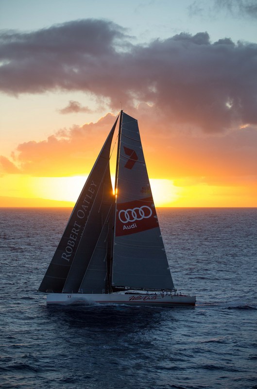 •With every possible sail set, Wild Oats XI heads into the Hawaiian sunset (Image credit: Sharon Green/Ultimate Sailing) 
