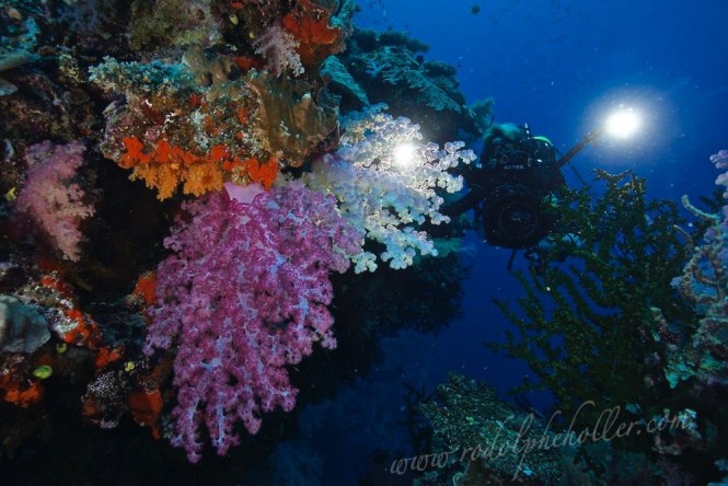 Underwater world in Fiji - Photo credit Rodolphe Holler / Superyacht Private Expeditions