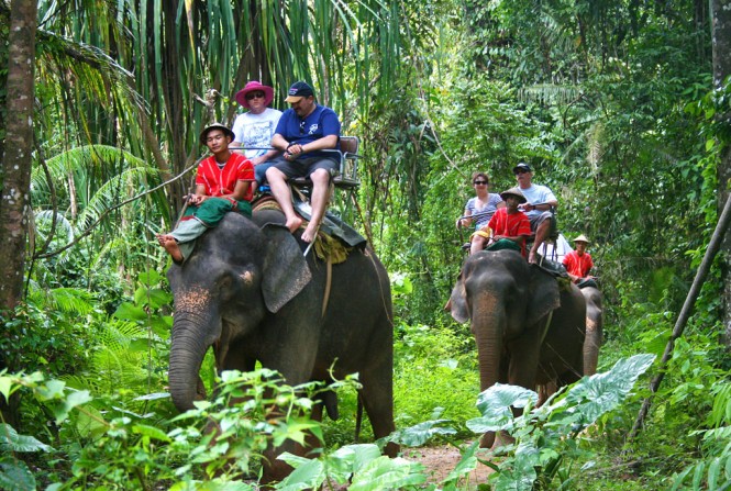 Elephant tours in Koh Samui - Photo credit to Asia Pacific Superyachts Koh Samui