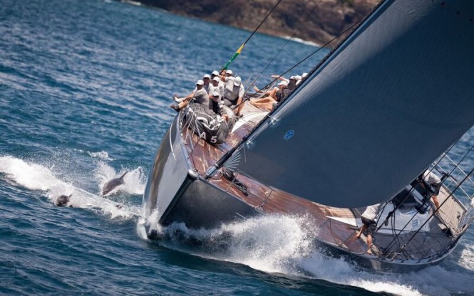 Dolphins race alongside Silvertip at the 2015 edition of the NZ Millennium Cup. Image by Jeff Brown