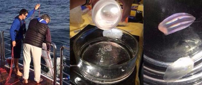 Photos from the expedition aboard Penny Mae