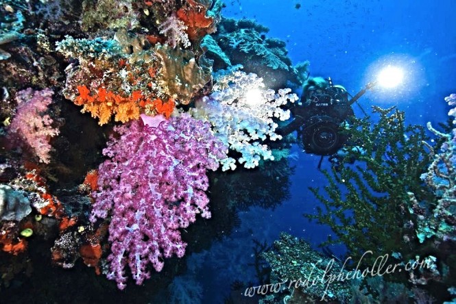 Diving in Fiji - Image credit to Superyacht Private Expeditions