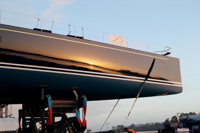 CYGNUS MONTANUS about to hit water