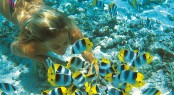 Swimming with the fish in French Polynesia