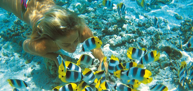 Swimming with the fish in French Polynesia