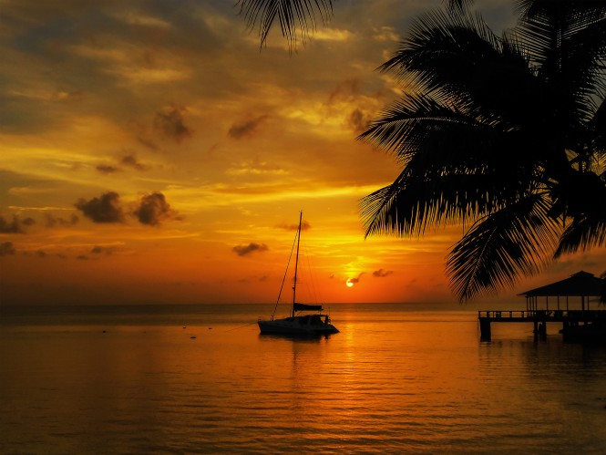 seychells-coca-de-mere-by-keuth-van-deventer