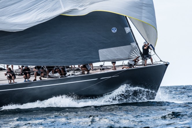 Silvertip. New Zealand Millennium Cup 2017 