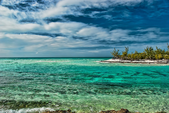 Orange Creek - Bahamas. Photo credit Trish Hartmann