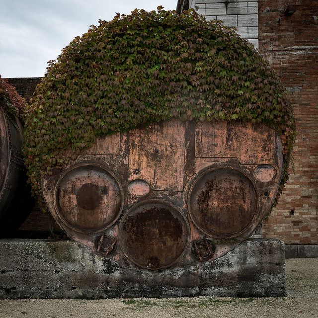 Architecture at La Biennale. Photo credit: René Thorup Kristensen