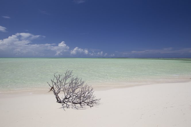 ACKL Sand Bar ©Bahamas Ministry of Tourism