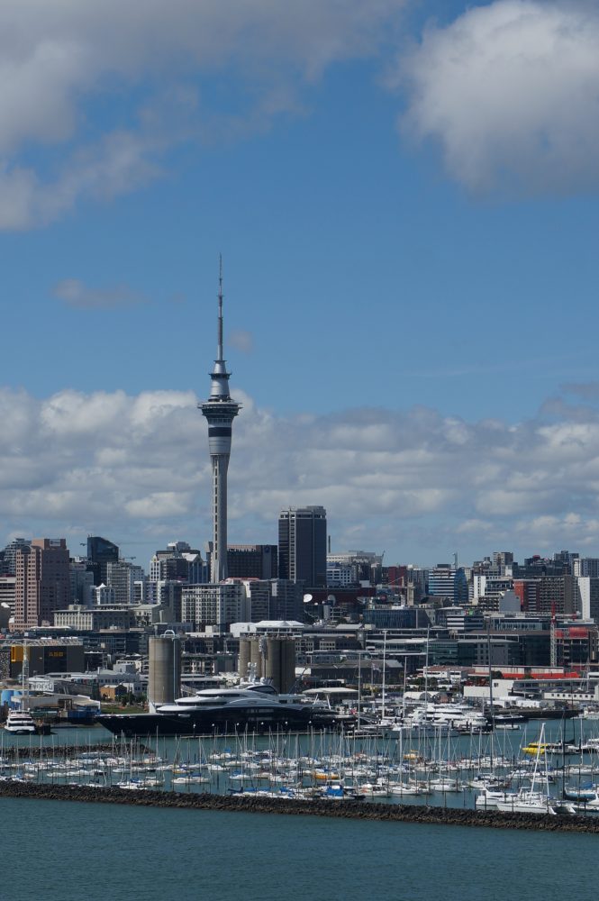 Auckland harbour and marina