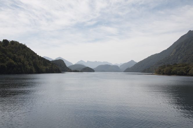 Dusky Sounds - South Island, New Zealand
