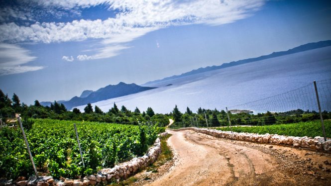 View from the Vinery Saints Hills in Croatia
