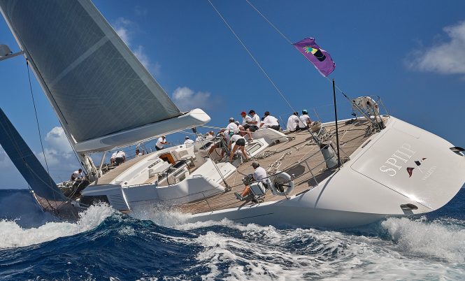 SPIIP Photo by michaelkurtzphoto.com