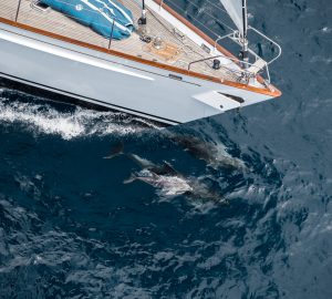 Winners announced for the New Zealand Millennium Cup 2019