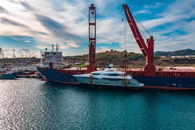 SNOW 5 moved to Miami to her new owner