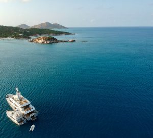 Discover Dwarf Minke Whales on the Great Barrier Reef charter yacht BELUGA
