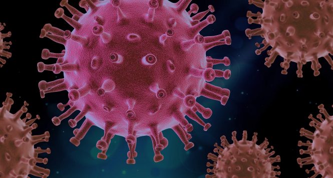 Illustrational image of the virus