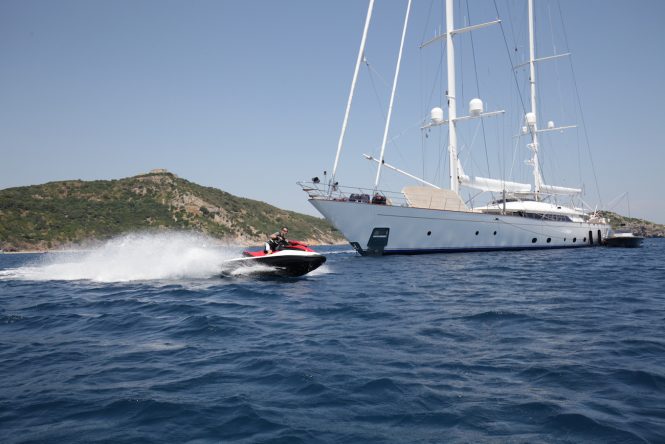 ROSEHEARTY with toys