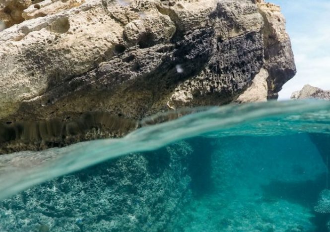Diving and snorkelling in Seychelles