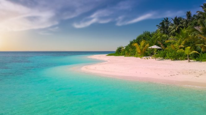 Pink sand beach of the Bahamas