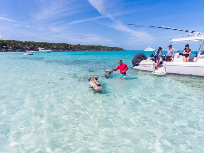 Swimming with the pigs in the Bahamas - Lady J yacht © Quin BISSET