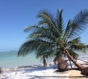 Beautiful Costa Rica welcomes yacht charters with new marine reform law