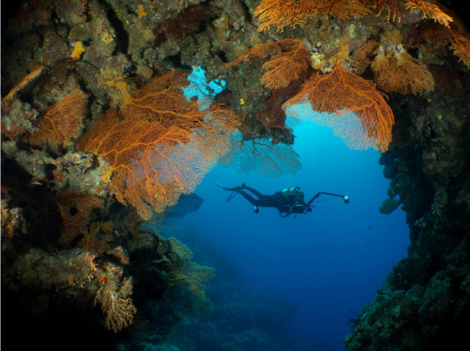 Diving in New Caledonia © R. Pacta / NCT