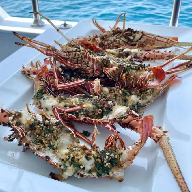 Freshly caught for a lunch on yacht charter in the Maldives