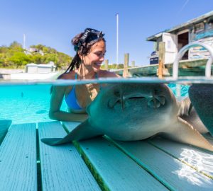 Now is the time to book your Christmas and New Year's Charter in the Americas 