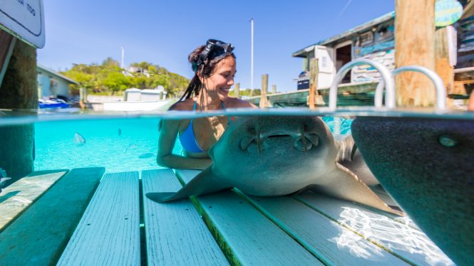 Yacht charter vacations in the Bahamas are full of adventure and excitement