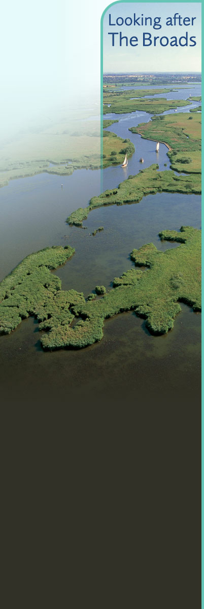 Broads Authority UK – Green ways of Protecting your Yacht