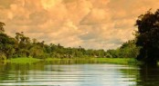 The Amazon (2)
