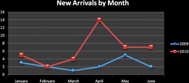 Singapore hosts increasing numbers of Superyachts