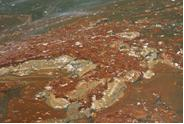 Patch of thick oil Patch of thick oil