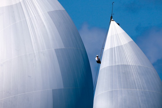 Wild Oats X and Black Jack in 2009 at Audi Hamilton Island Race Week - Image credit to Andrea Francolini Audi