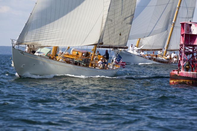 Classic sailing beauties Sumurun and Whitehawk battle their way to the mark. Photo Billy Black. Classic sailing beauties Sumurun and Whitehawk battle their way to the mark. Photo Billy Black