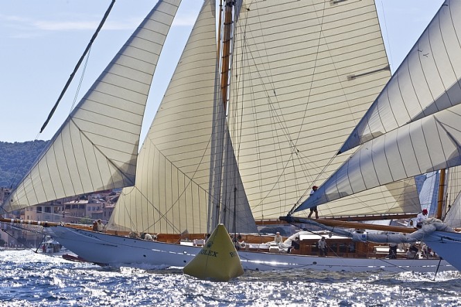 Sailing yacht ELENA at Les Voiles de Saint-Tropez - Photo credit Rolex Carlo Borlenghi Sailing yacht ELENA at Les Voiles de Saint-Tropez - Photo credit Rolex Carlo Borlenghi