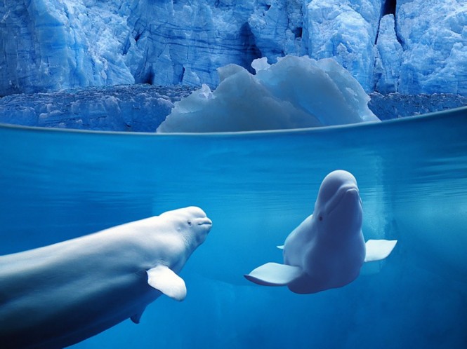 JUNE 8 IS WORLD OCEANS DAY