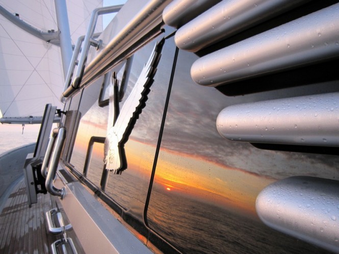 Transatlantic Race 2011: Joy and Pain