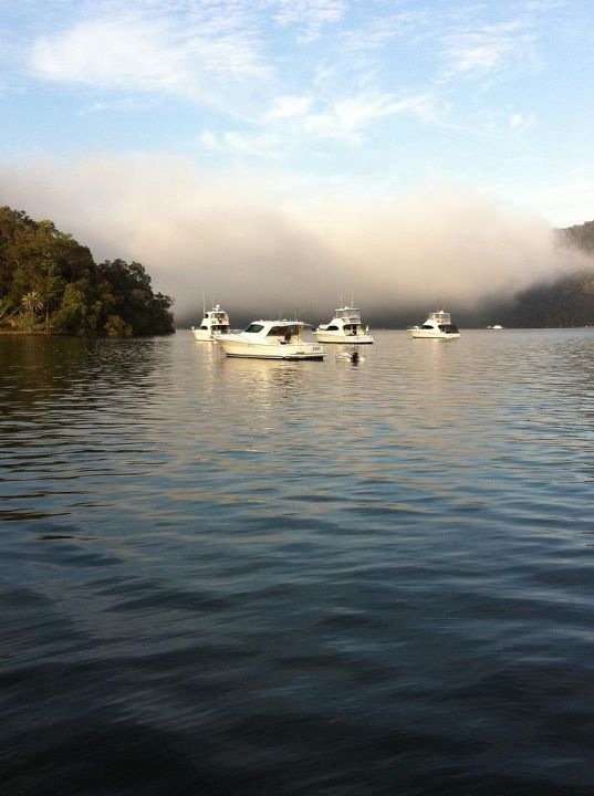 Morning mist over the water Morning mist over the water